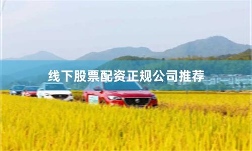 线下股票配资正规公司推荐